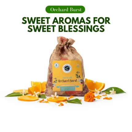Navratri-Orchard-Burst