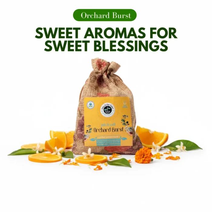 Navratri-Orchard-Burst