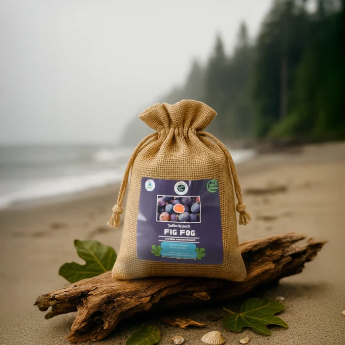 Fig-Fog-Featured-Image