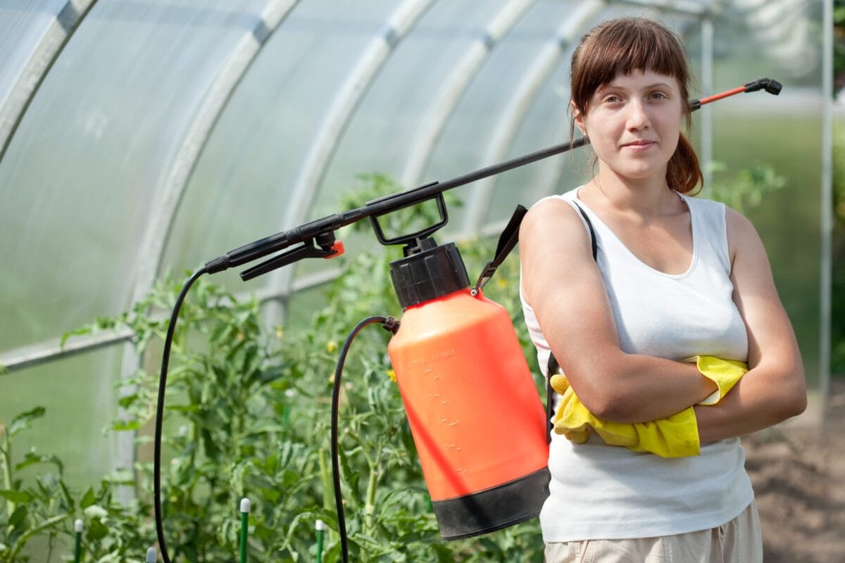 home food insect control