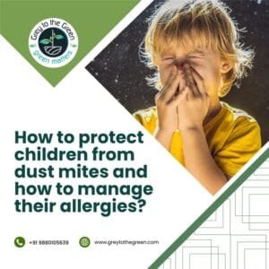 dust mite allergy