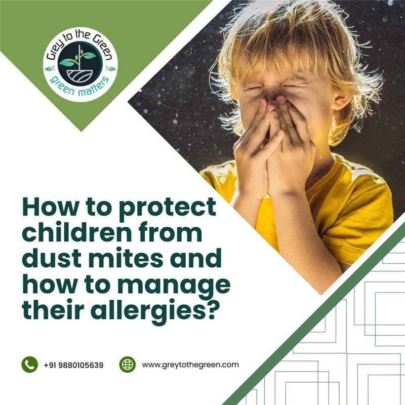 dust mite allergy