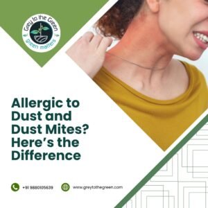 Allergic to Dust and Dust Mites Here’s the Difference