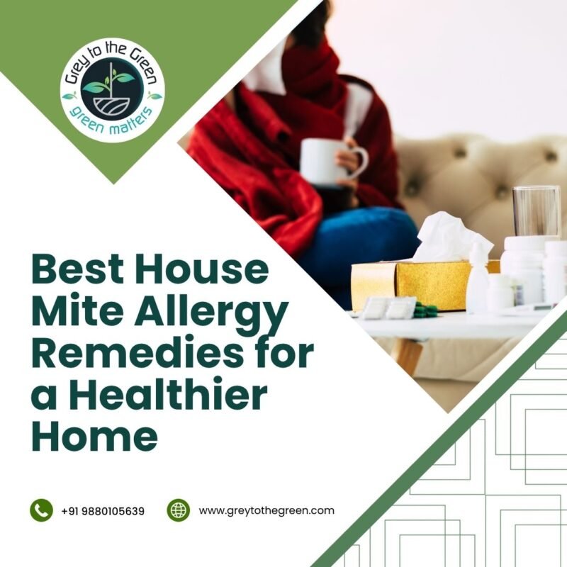 Best House Mite Allergy Remedies for a Healthier Home