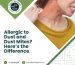 Allergic to Dust and Dust Mites Here’s the Difference