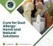 Cure for Dust Allergy: Home and Natural Solutions